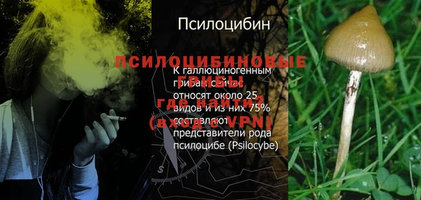 ECSTASY Каменка